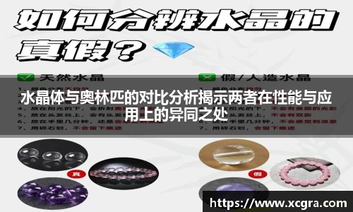 世俱杯中国官网入口