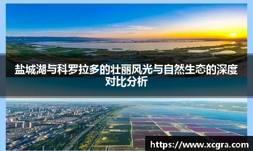 中国·世俱杯(有限公司)官方网站